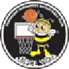 https://img.osumal.com/img/basketball/team/e416830f4083698237c559f8988ddb25.png