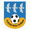 https://img.osumal.com/img/football/team/259a1106a33b56d2bb3c458a62ffa2ea.png