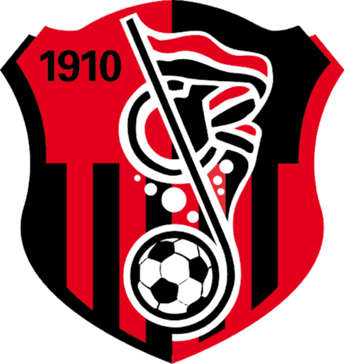 https://img.osumal.com/img/football/team/93e018cff141af47eae05333ac19a65d.png