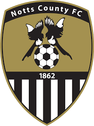 https://img.osumal.com/img/football/team/9e230c89a846b9cadf91884918fa7611.png