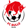 https://img.osumal.com/img/football/team/b201265fa89720bf8cd8ef95549a4738.png